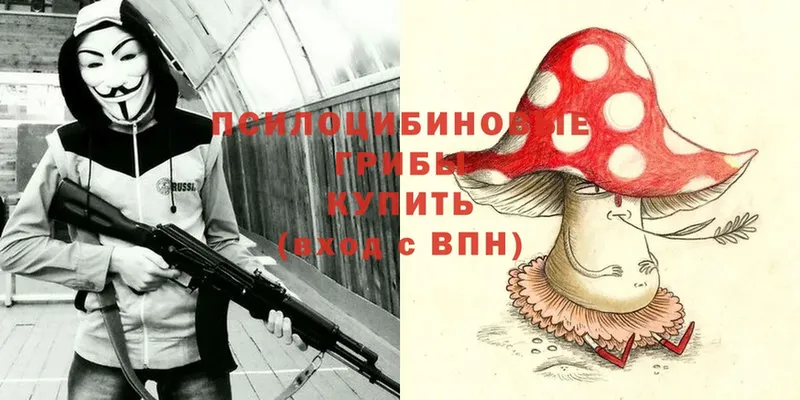 Галлюциногенные грибы Magic Shrooms  Котельнич 