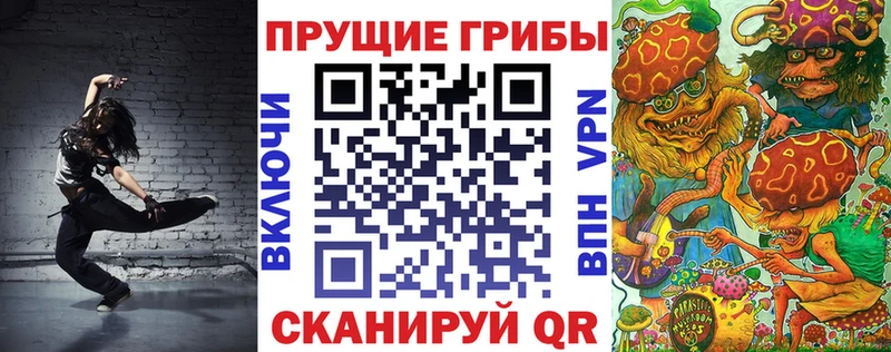 закладка  Котельнич  Галлюциногенные грибы прущие грибы 